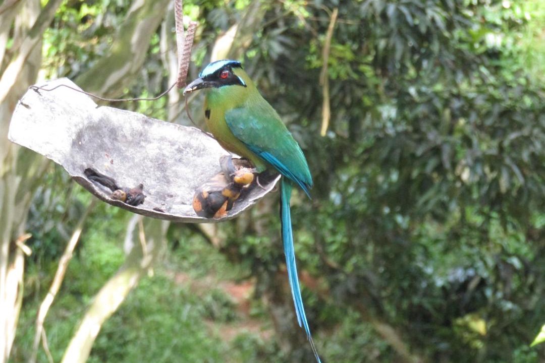Photo of Others in Andes