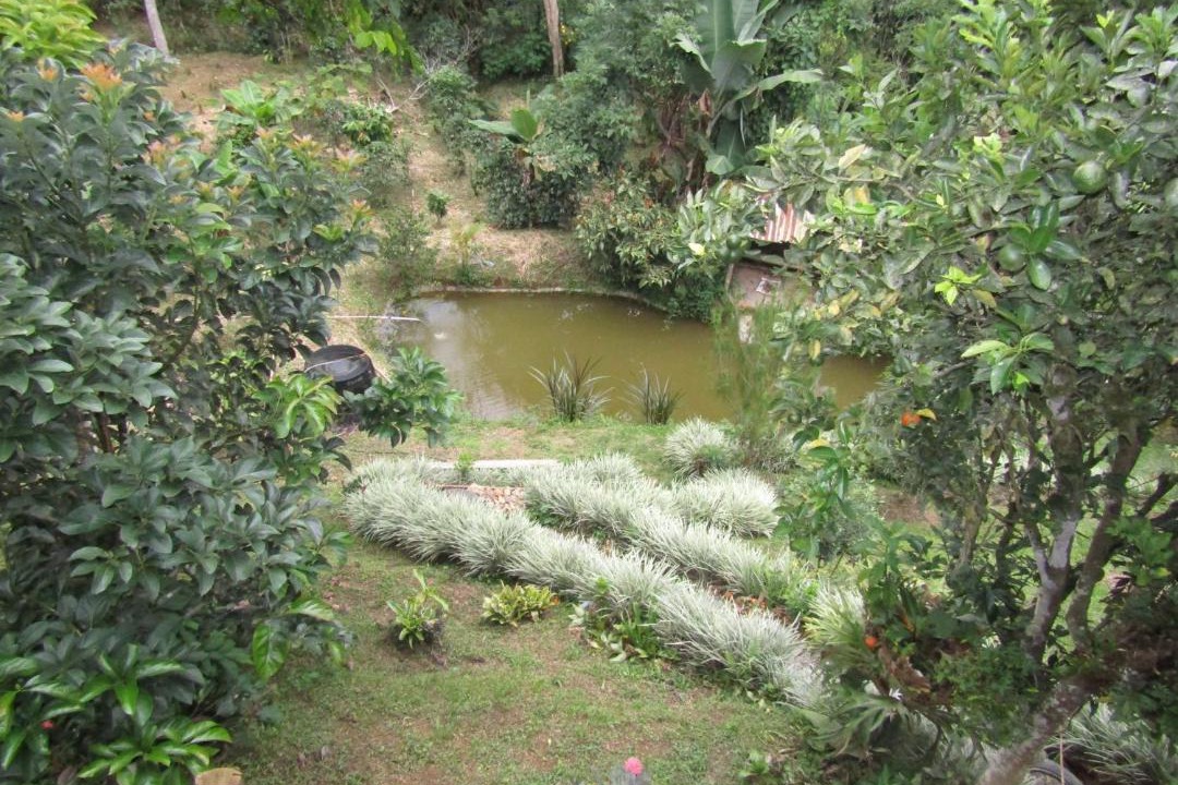 Photo of Others in Andes