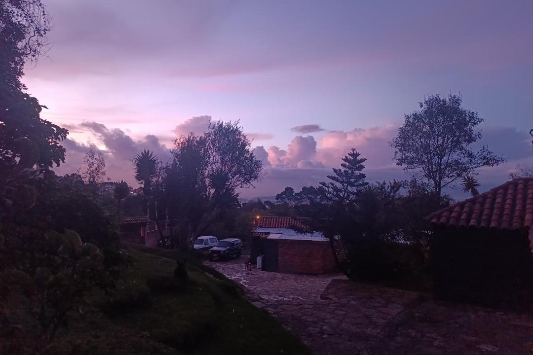 Photo of Others in Bogota