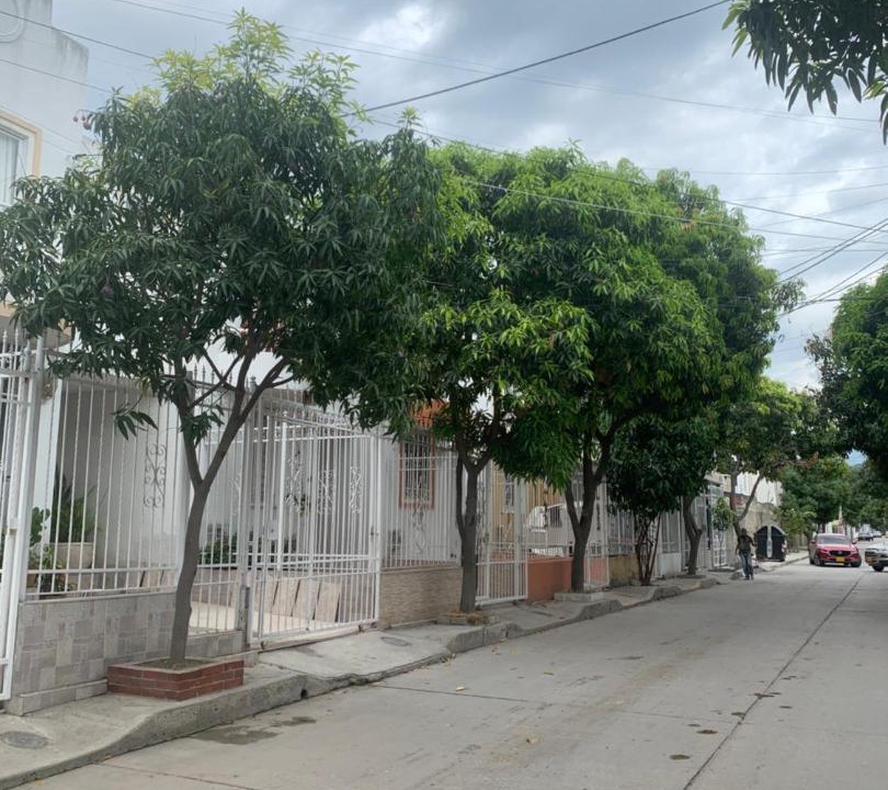 Photo of Others in Mamatoco