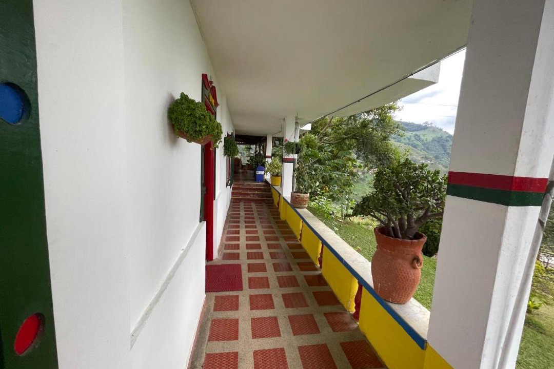 Photo of Others in Buenavista