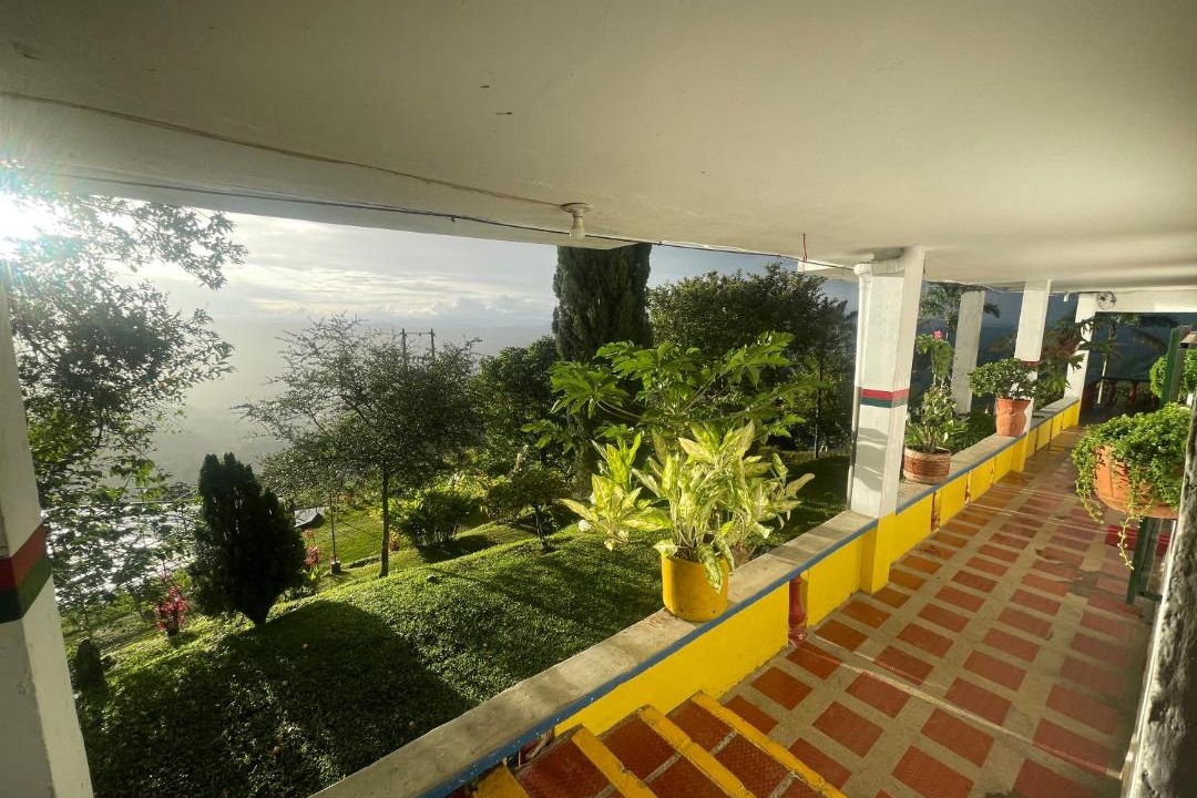 Photo of Others in Buenavista