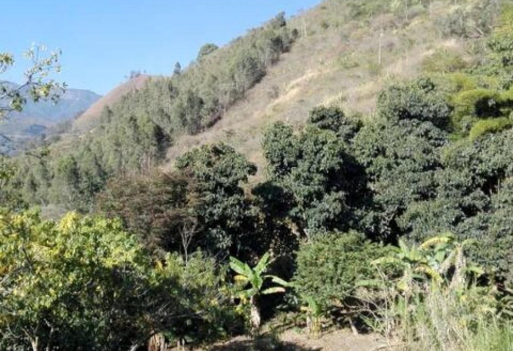 Photo of Others in Caqueza