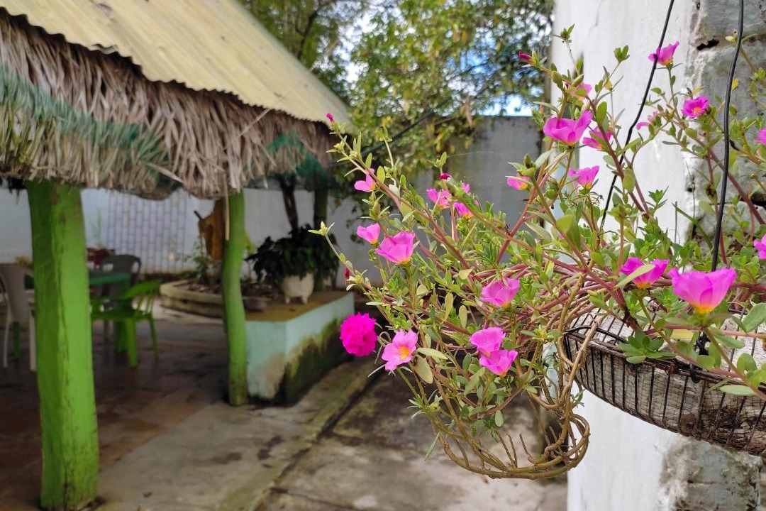 Photo of Others in Santa Cruz de Mompox