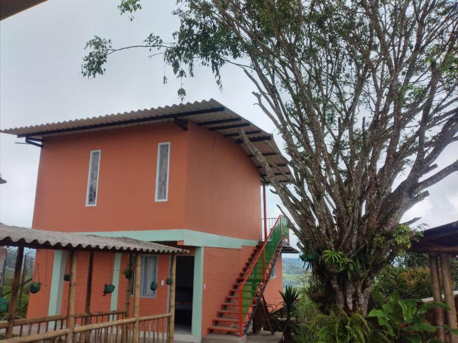 Photo of Buildings in Filandia