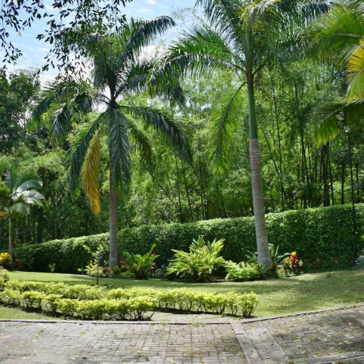 Photo of Others in Villeta