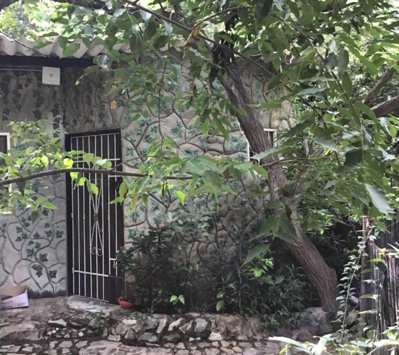 Photo of Others in Taganga