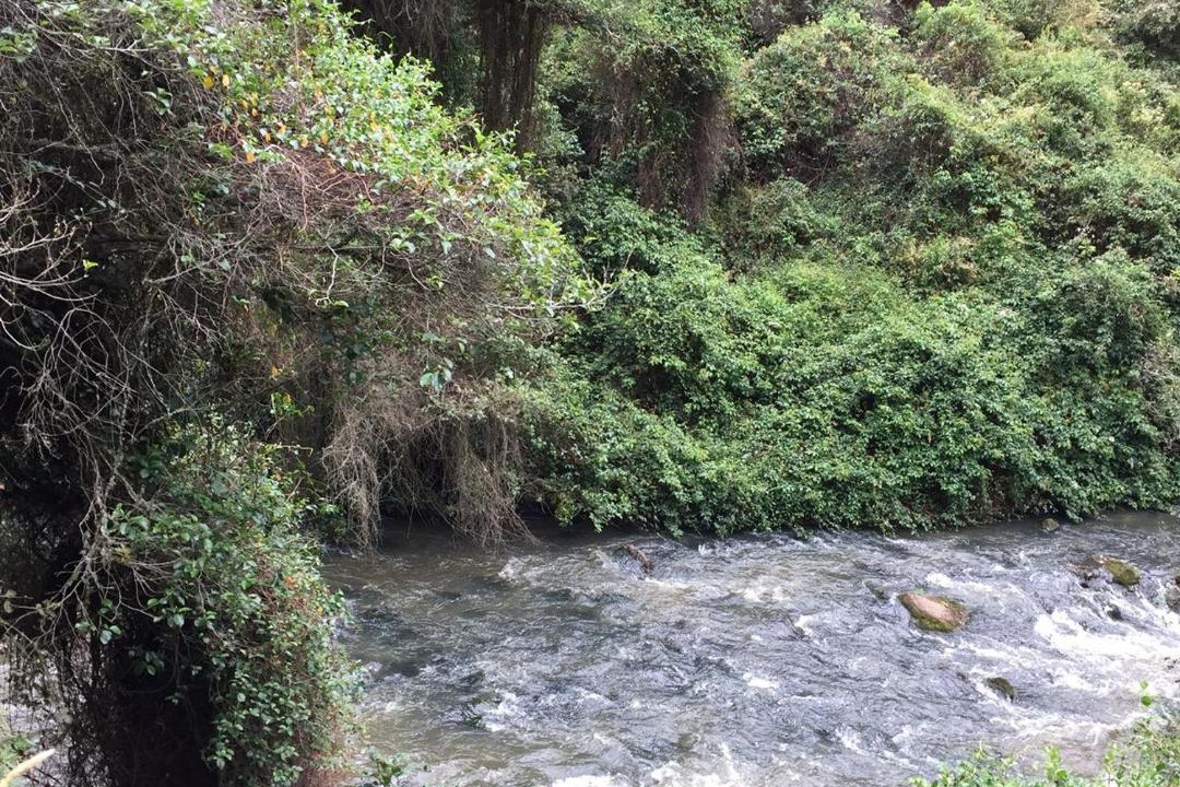 Photo of Others in Choconta