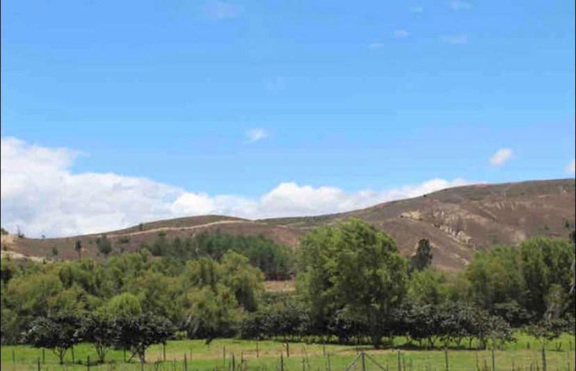 Photo of Others in Sutamarchan