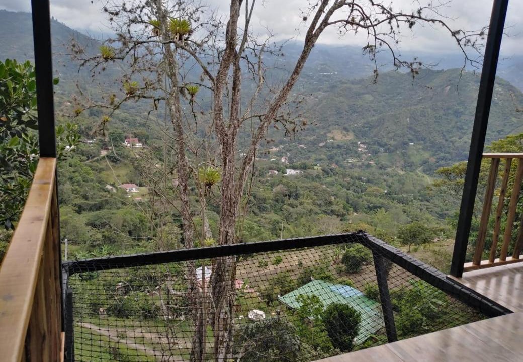 Photo of Others in La Vega
