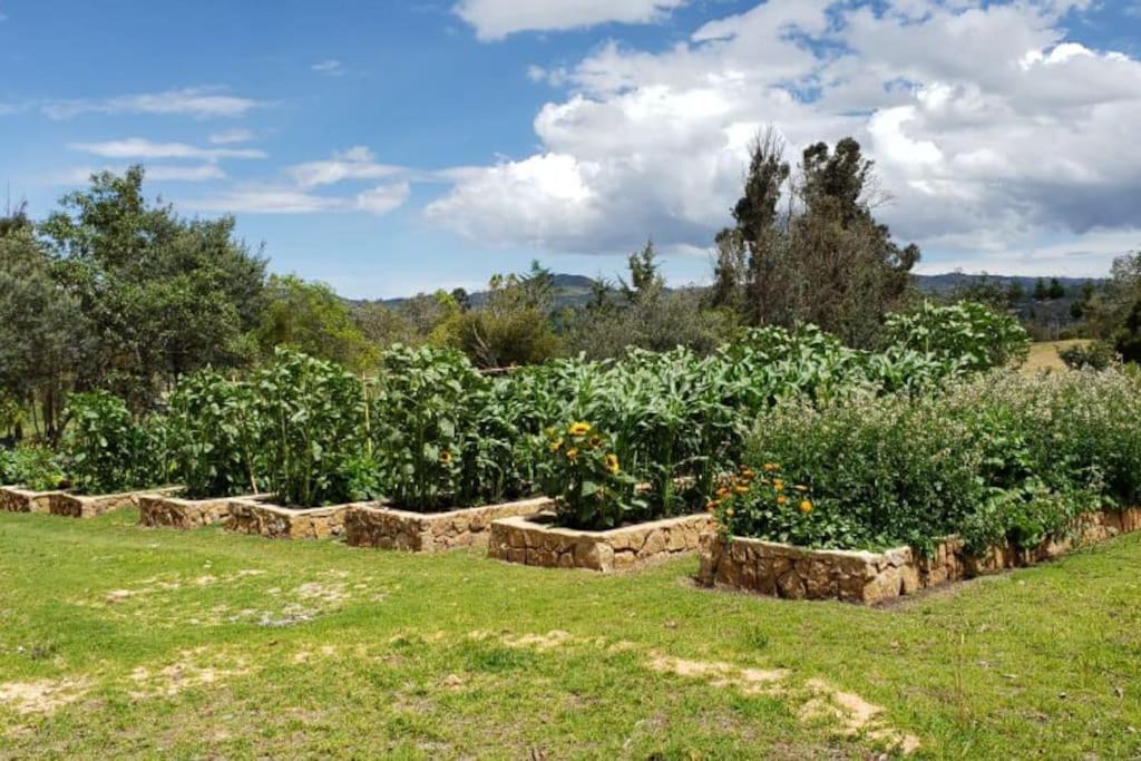 Photo of Others in Villa de Leyva