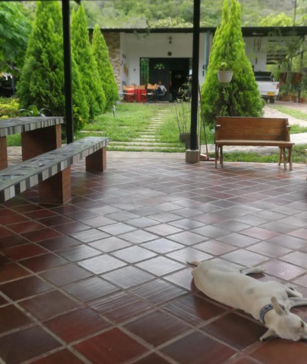 Photo of Others in Neiva