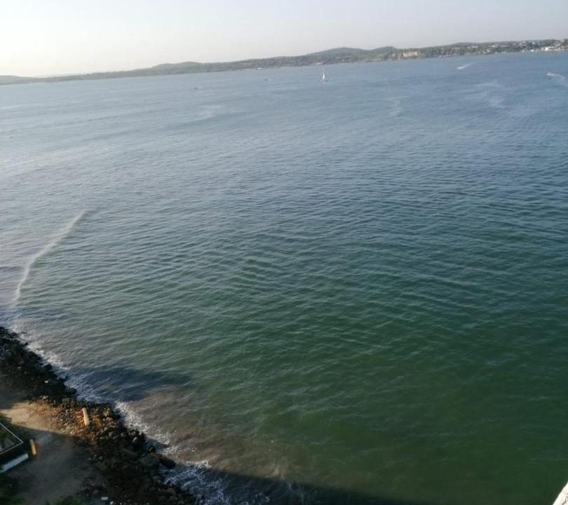 Photo of Others in El Laguito