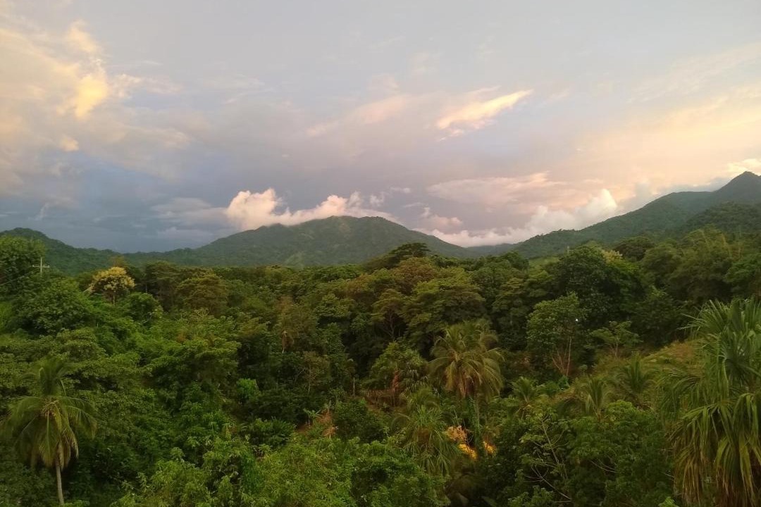 Photo of Others in Mata de Platano