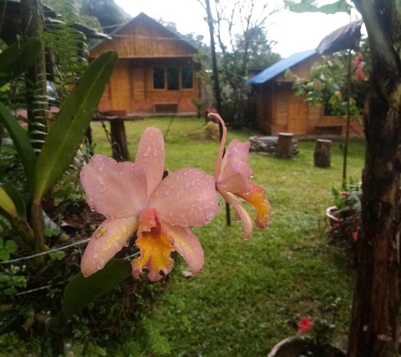 Photo of Others in Samana