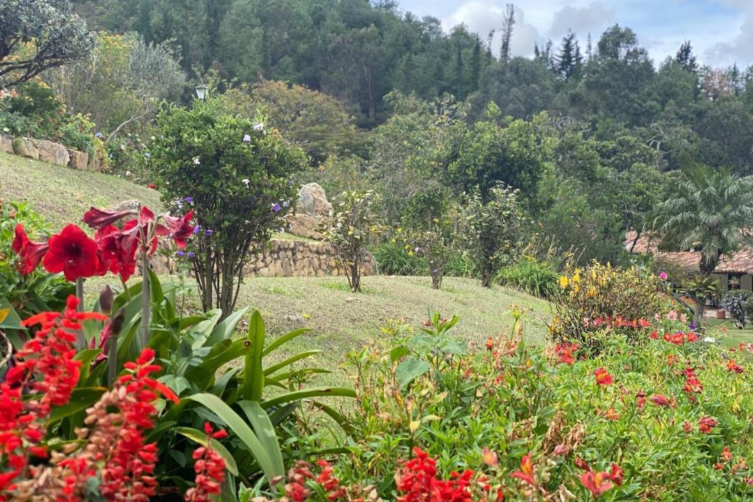 Photo of Others in Villa de Leyva