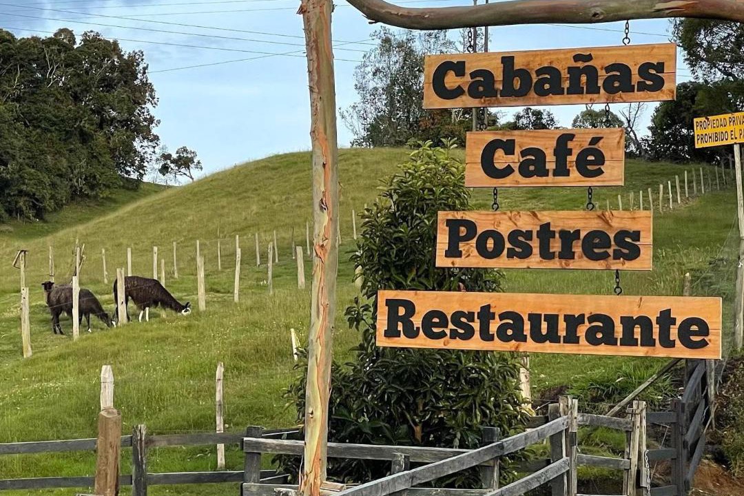Photo of Others in Libano