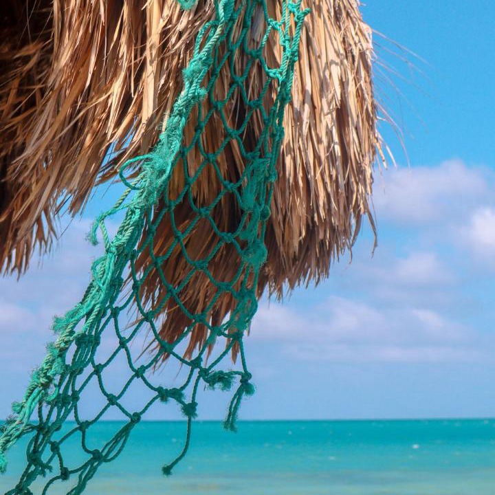 Photo of Others in Isla Mucura