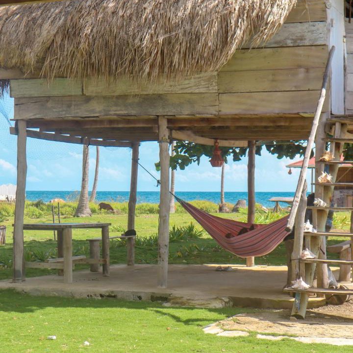 Photo of Others in Isla Mucura