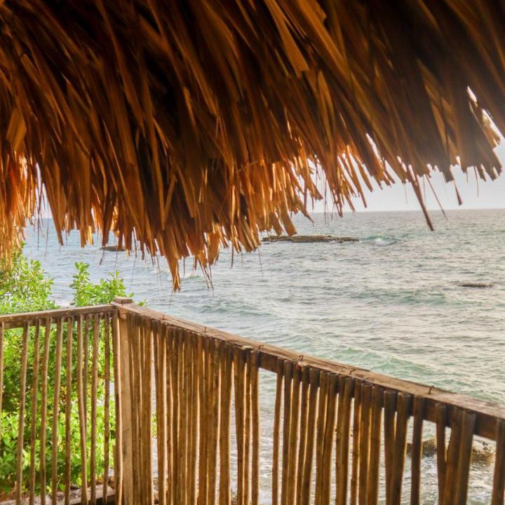Photo of Others in Isla Mucura