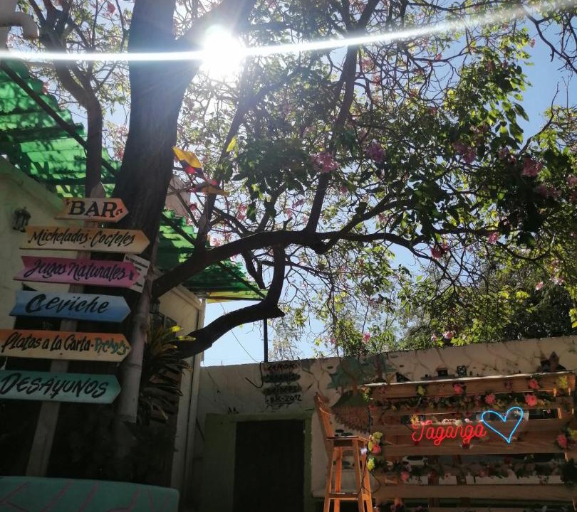 Photo of Others in Taganga
