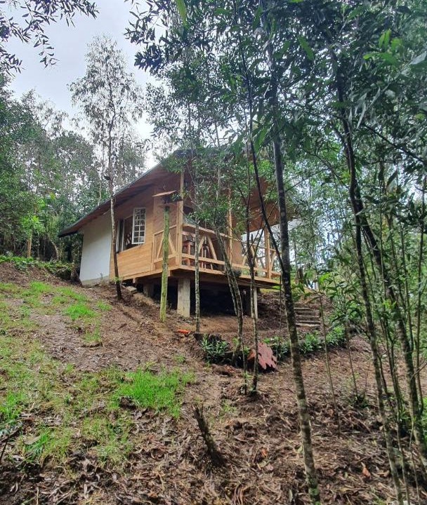Photo of Others in Medellin
