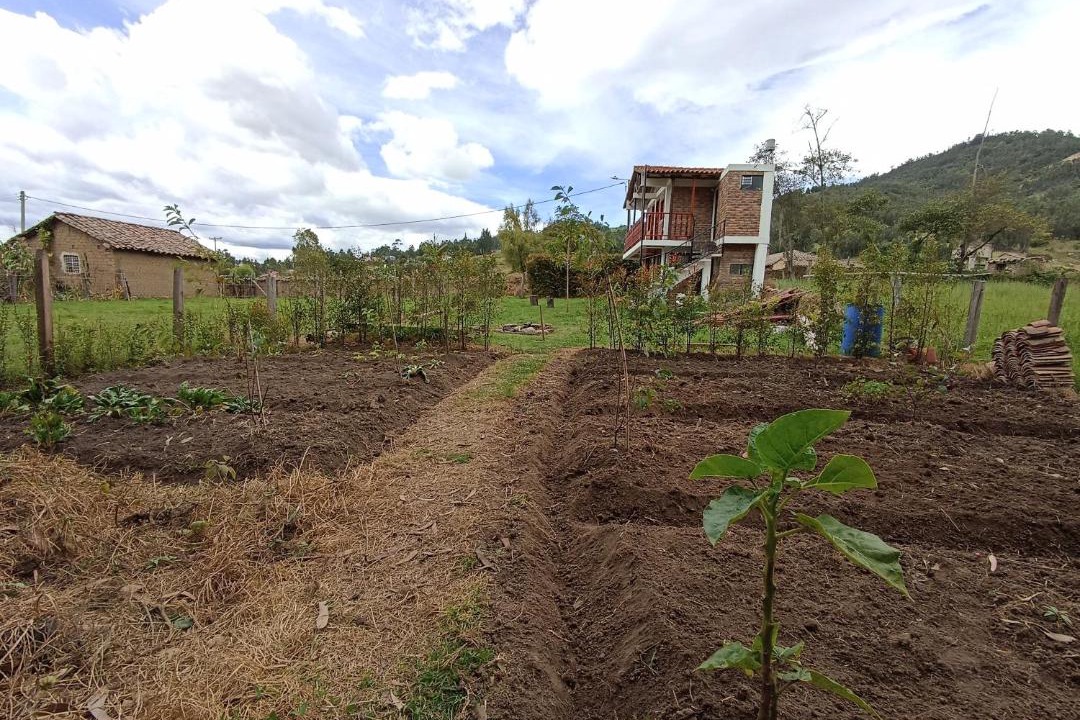 Photo of Others in Sogamoso