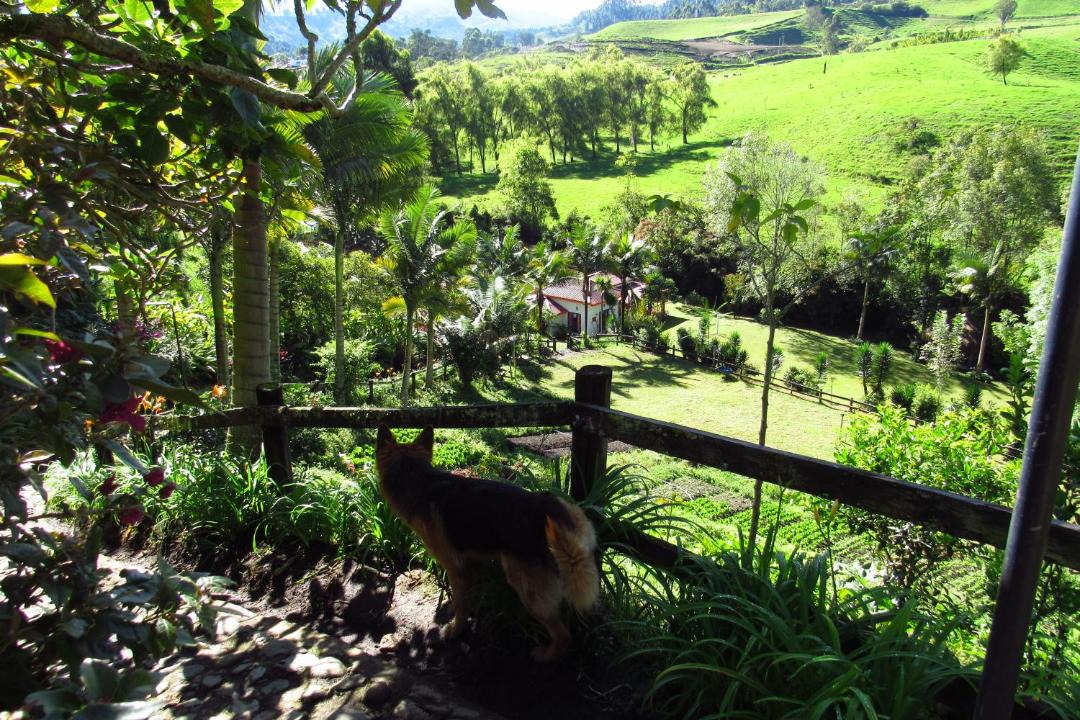 Photo of Others in Manizales