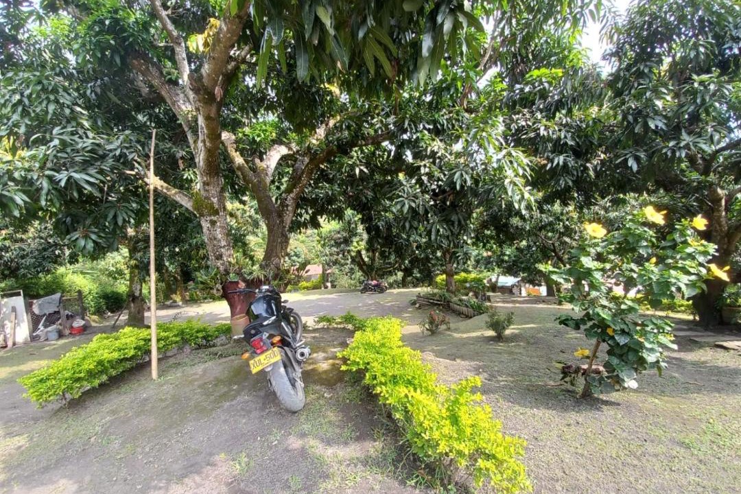 Photo of Others in Tena