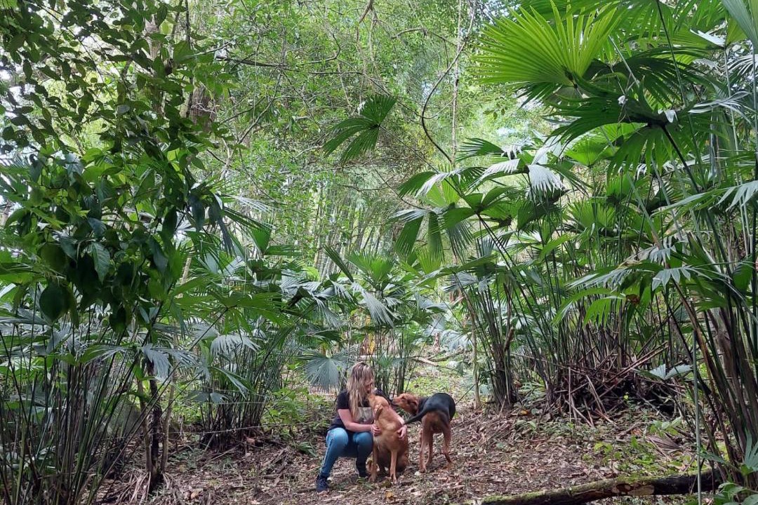 Photo of Others in Nocaima