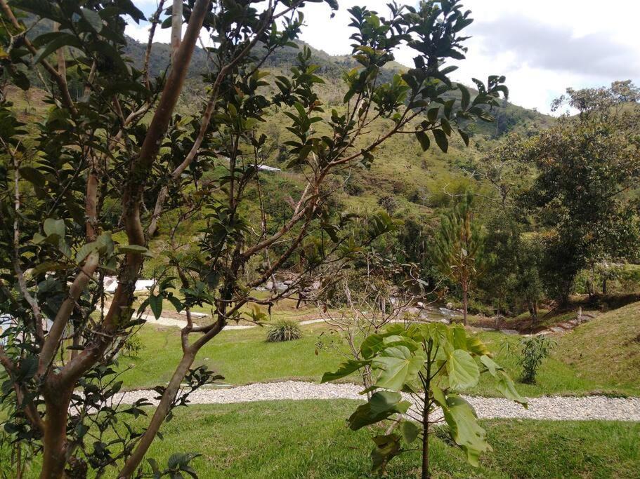 Photo of Others in Concepcion