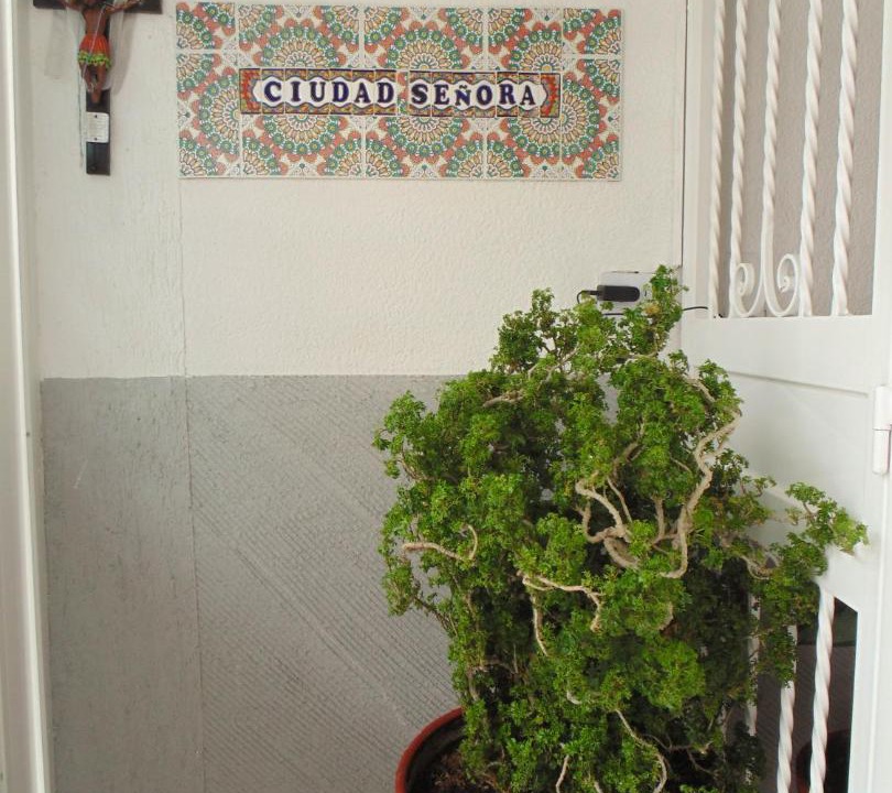 Photo of Others in Guadalajara de Buga