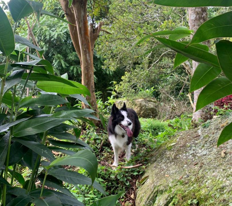 Photo of Outdoor in Tena