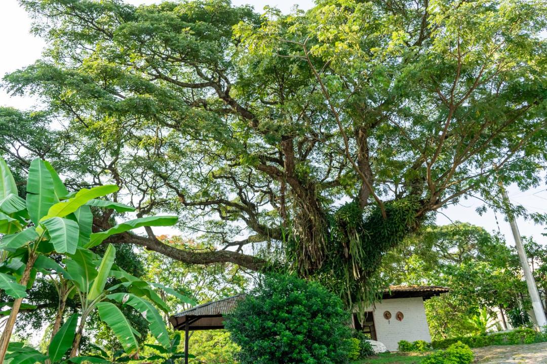 Photo of Others in Garzon