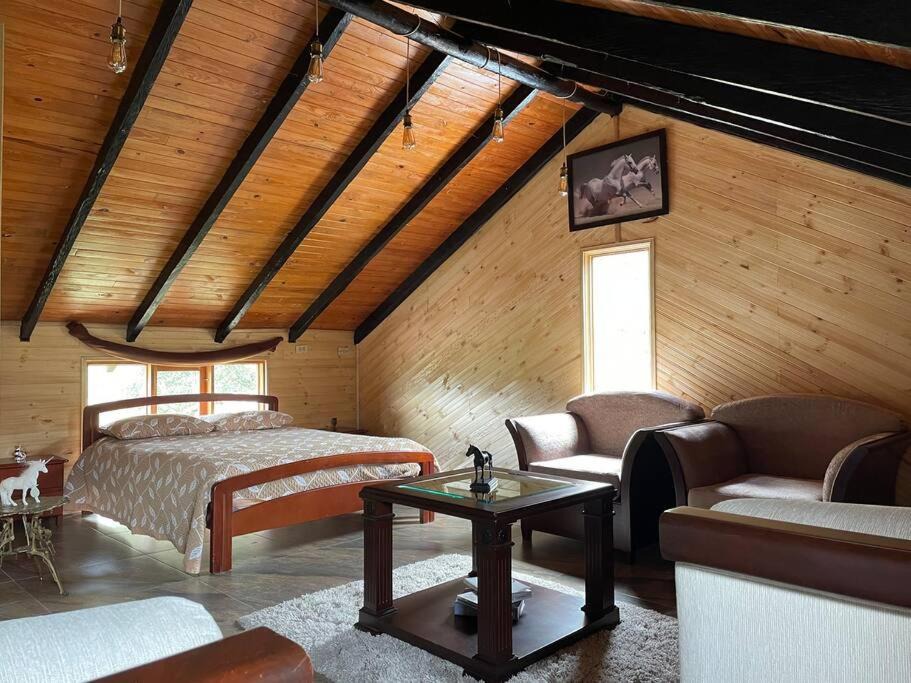 Photo of Livingroom in Aquitania