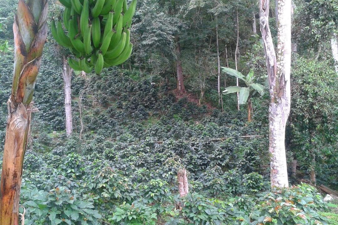 Photo of Others in Cumaca