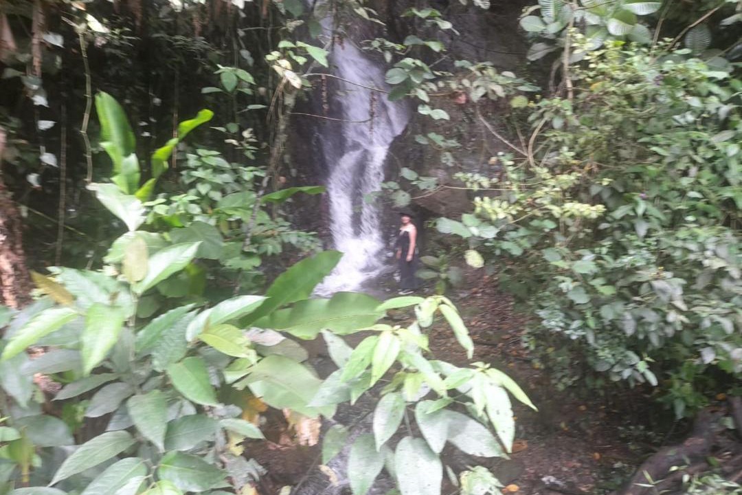Photo of Others in La Vega