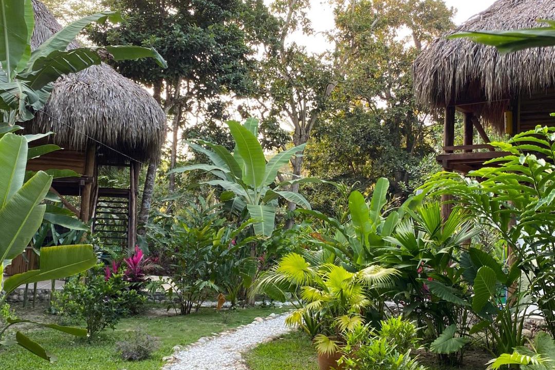 Photo of Others in Guachaca