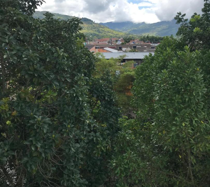 Photo of Others in Guaduas