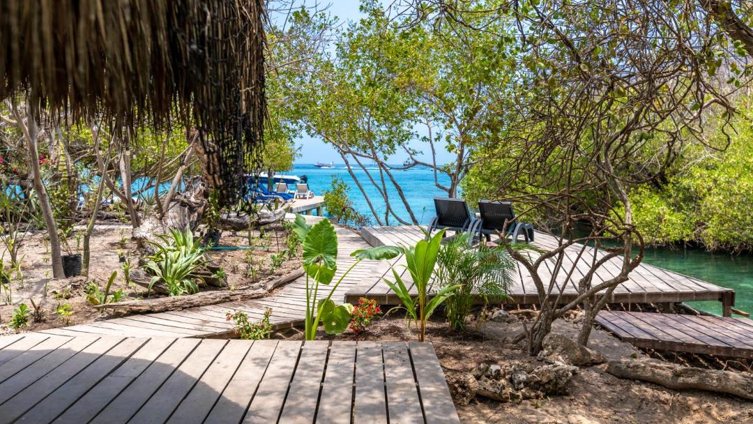 Photo of Others in Rosario Islands