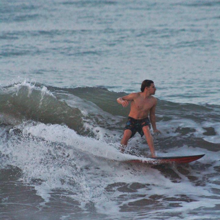 Photo of Others in Palomino