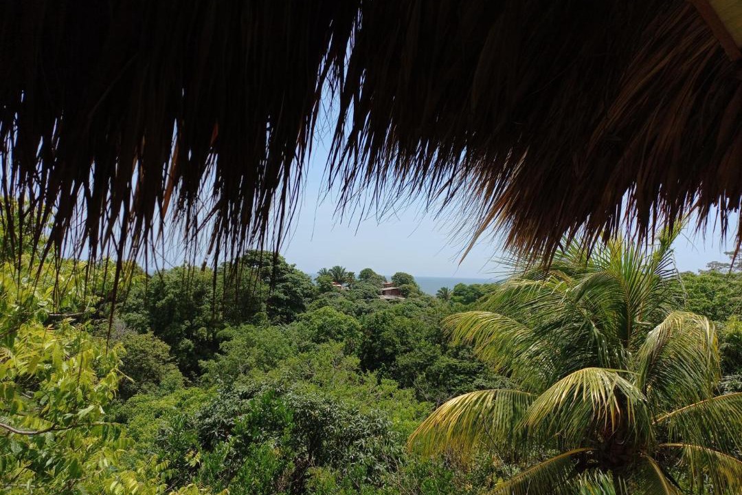 Photo of Others in Mata de Platano