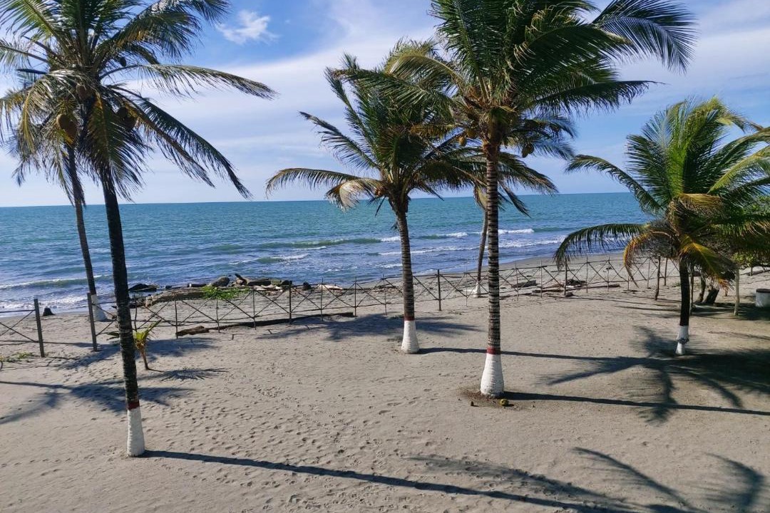 Photo of Others in San Bernardo del Viento