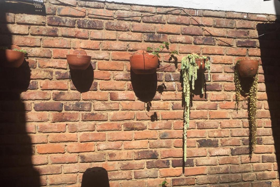 Photo of Others in Old Town