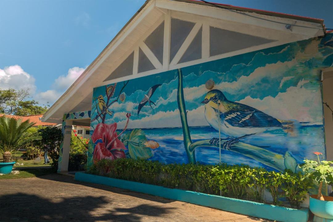 Photo of Others in Punta Sur