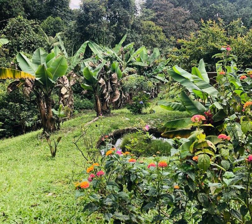 Photo of Outdoor in Filandia