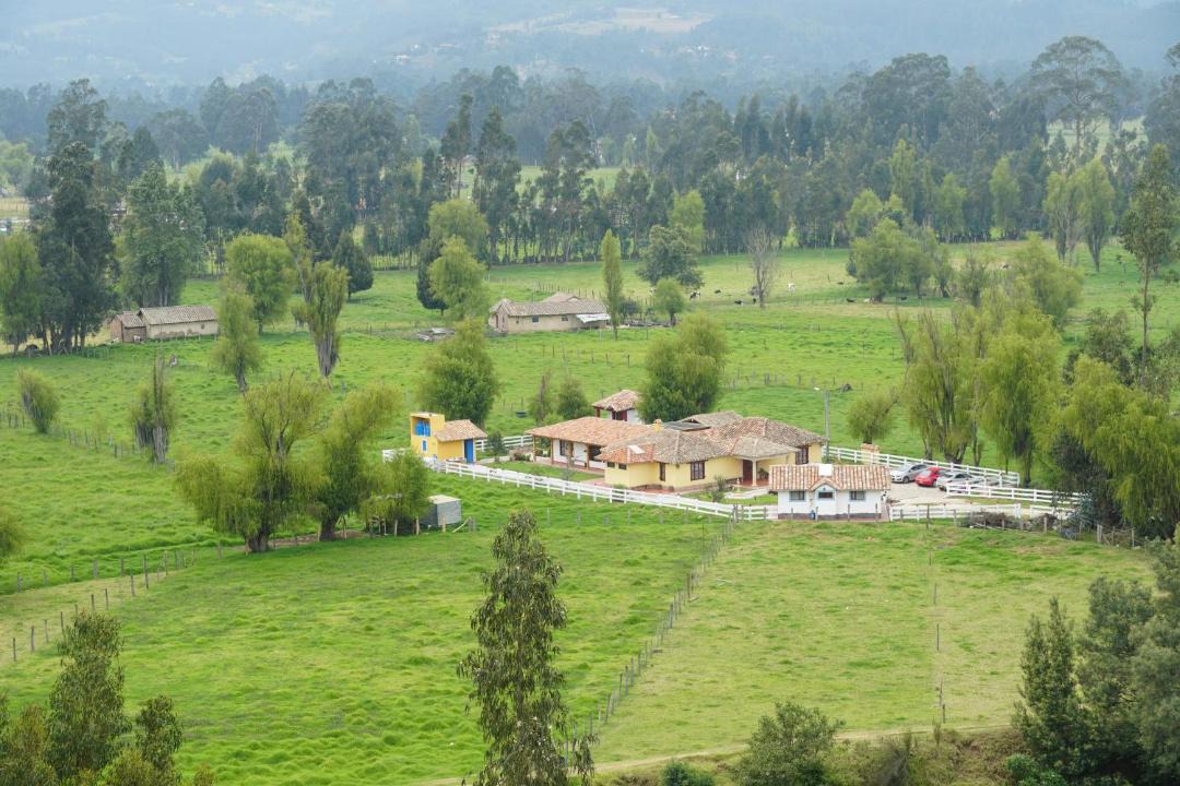 Photo of Others in Firavitoba