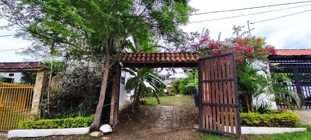 Photo of Others in Apulo
