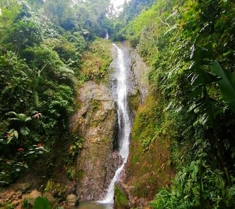 Photo of Others in Alegrias