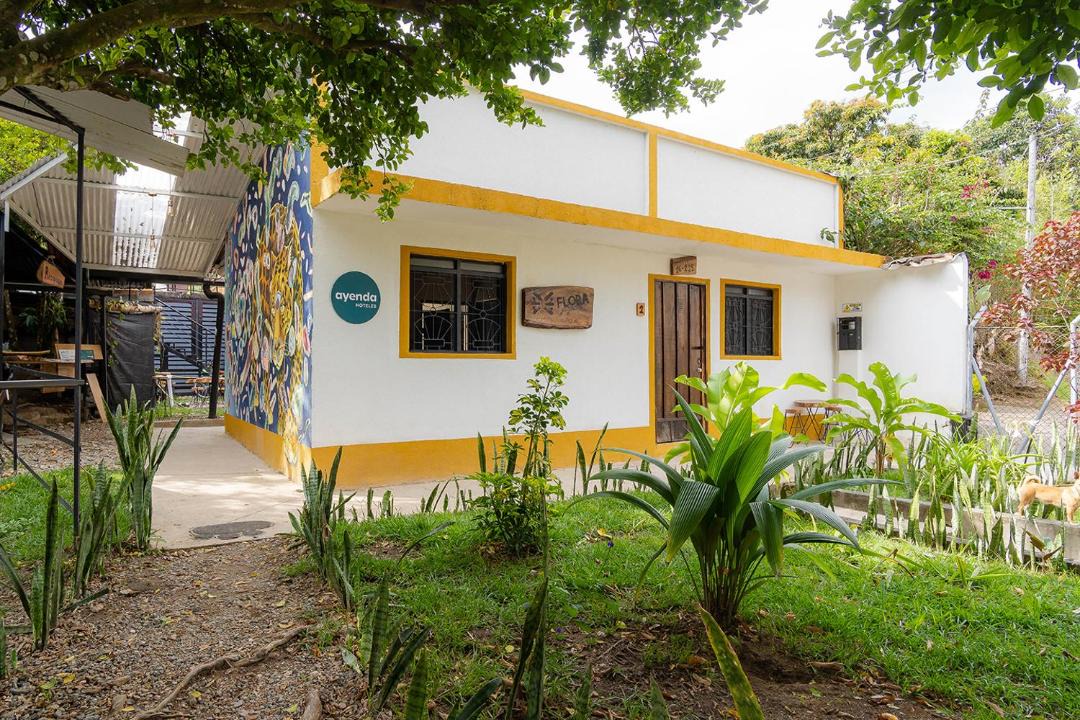 Photo of Others in Ibague